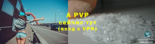 СК Беломорск