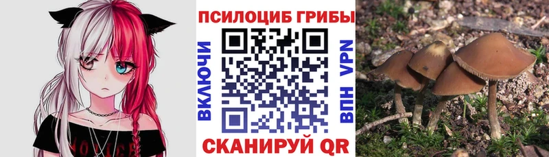 Псилоцибиновые грибы мухоморы  где продают наркотики  MEGA ONION  Елизаветинская 